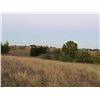 Image 15 : BID HERE :HARMONY /PALLACK FARM : 159 ACRES LOT 3H