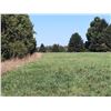 Image 16 : BID HERE :HARMONY /PALLACK FARM : 159 ACRES LOT 3H