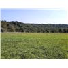 Image 19 : BID HERE :HARMONY /PALLACK FARM : 159 ACRES LOT 3H