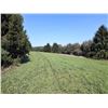 Image 20 : BID HERE :HARMONY /PALLACK FARM : 159 ACRES LOT 3H