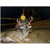 Image 4 : BIG GAME HARVESTED ON THE FARM IMAGES