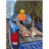 Image 7 : BIG GAME HARVESTED ON THE FARM IMAGES