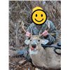 Image 1 : BIG GAME HARVESTED ON THE FARM IMAGES