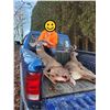 Image 2 : BIG GAME HARVESTED ON THE FARM IMAGES