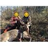 Image 5 : BIG GAME HARVESTED ON THE FARM IMAGES