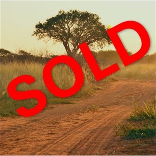 Limcroma Safaris: SOUTH AFRICAN PLAINS GAME SAFARI for (2) Hunters for (10) days