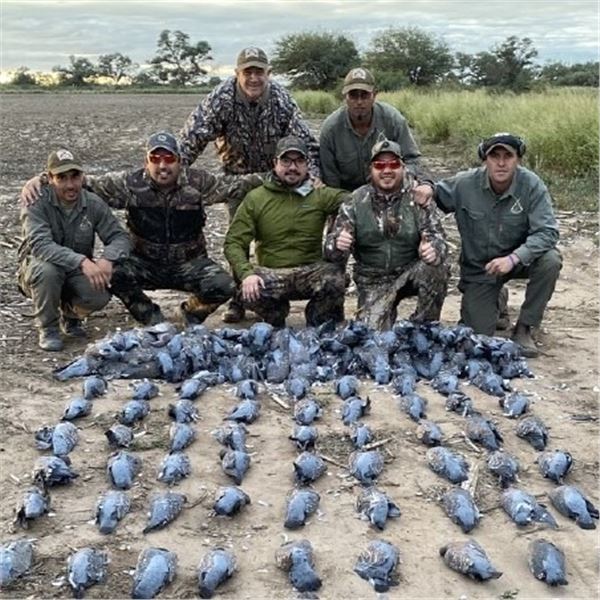 HP Wingshooting Adventure: ARGENTINA DOVE & PIGEON HUNTS FOR (3) Hunters for (5) Nights