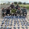 Image 1 : HP Wingshooting Adventure: ARGENTINA DOVE & PIGEON HUNTS FOR (3) Hunters for (5) Nights