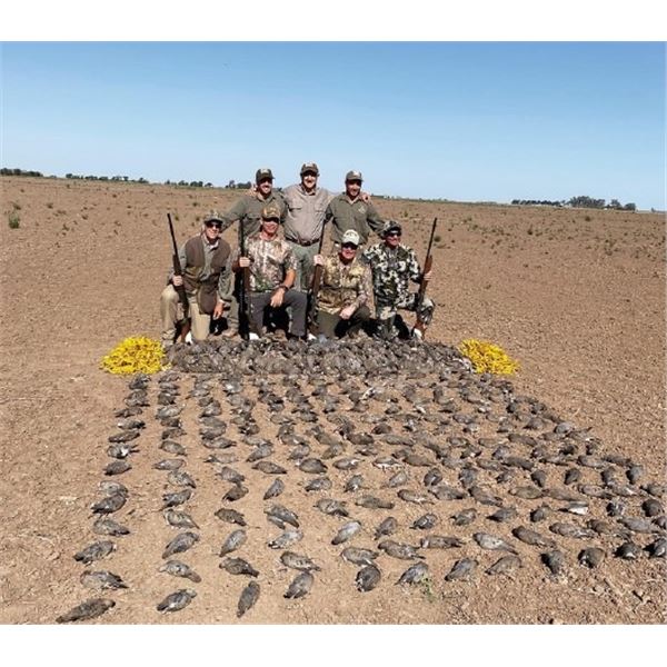 HP Wingshooting Adventures: ARGENTINA DOVE HUNT FOR (4) Hunters for (4) Nights