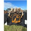Image 5 : Holmes Crew Outfitters: FLORIDA DUCK AND SNIPE HUNT for (1) Hunter w/ (1) Paid Hunter, (1) Full Day