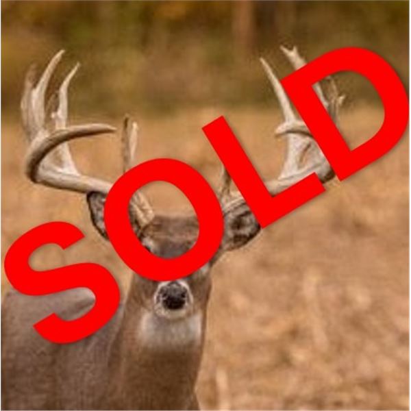 Briarwood Sporting: OHIO NORTHEASTERN WHITETAIL DEER HUNT for (2) Deer for (2) Hunters for (3) Days.