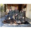 Image 11 : Ross Hammock Ranch: FLORIDA WILD HOG HUNT for up to (4) Hunters for (1.5) Days