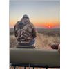 Image 6 : Du Duine Safaris: SOUTH AFRICAN SAFARI for (2) Hunters for (5) Hunting Days