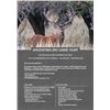 Image 11 : Catena Safaris Argentina: ARGENTINA BIG GAME HUNT for (2) Hunters for (5) Days