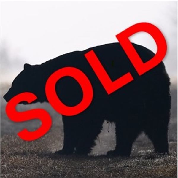 Adairs Wilderness: CANADIAN BLACK BEAR HUNT for (2) Bear (2) Hunters & (2) Paid Hunters for (5) Days