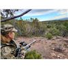 Image 7 : Lickity Split Outfitters: UTAH GUIDED COW ELK HUNT for (1) Hunter for (3) Days