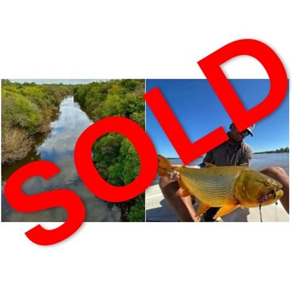 Wildest International: ARGENTINA BIG GAME HUNT & GOLDEN DORADO FISHING for (2) Hunters for (5) Days