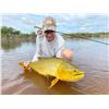 Image 9 : Wildest International: ARGENTINA BIG GAME HUNT & GOLDEN DORADO FISHING for (2) Hunters for (5) Days