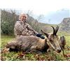 Image 6 : Iber Hunts: SPAIN HUNT FOR MALE PYRENEAN CHAMOIS for (1) Hunter and (1) Observer for (3) Days
