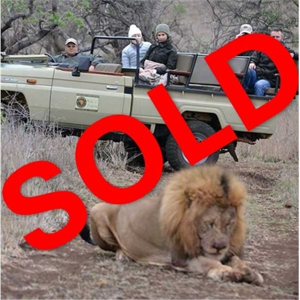 Kido Safaris: SOUTH AFRICAN PHOTOGRAPHIC SAFARI WITH OPTION TO HUNT for (2) People for (7) Days