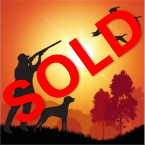 Wings North: PHEASANT BIRD HUNTING IN MINNESOTA for (1 to 4) hunters for 1/2 day