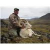 Image 11 : D & L Outfitters & Wolverine Outfitter: ALASKA DALL SHEEP for (1) Hunter for 10 Days