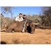 Image 12 : Trompettersfontein Safaris:SOUTH AFRICA COW BUFFALO & PLAINS GAME HUNTS for (2) Hunters for (7) Days