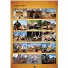 Image 21 : Trompettersfontein Safaris:SOUTH AFRICA COW BUFFALO & PLAINS GAME HUNTS for (2) Hunters for (7) Days