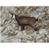 Image 8 : European Hunting Adventures: SERBIA CHAMOIS HUNT for (2) Hunters or (1) Hunter & (1) Obser, 6 Nights