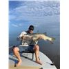 Image 3 : T's Guide Service: FLORIDA TARPON FLY FISHING TRIP for 1-2 Anglers for 3/4 Day