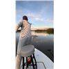 Image 9 : T's Guide Service: FLORIDA TARPON FLY FISHING TRIP for 1-2 Anglers for 3/4 Day