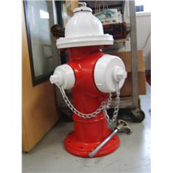 Fire Hydrant  (110)