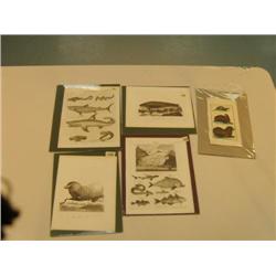 lot of 5 early pictures of fish, walruses, seals, manna rays and sharks (3)