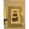Image 7 : lot of 5 early pictures of fish, walruses, seals, manna rays and sharks (3)