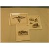 Image 1 : lot of three early pictures: whale, walrus polar bear, harpers seal (3)