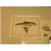 Image 3 : lot of three early pictures: whale, walrus polar bear, harpers seal (3)