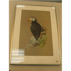 horned puffing print by  John Pitcher 32/500, matted and framed, image is 11.5 x 167.25 (3)