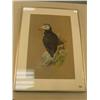 Image 1 : horned puffing print by  John Pitcher 32/500, matted and framed, image is 11.5 x 167.25 (3)