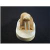 Image 3 : 2.5" fossilized walrus mounted on white ivory base by Aningayou (3)