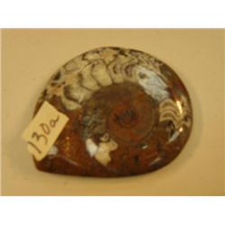 CHOICE ON 2: Fossil (3)