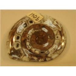 CHOICE ON 2: Fossil (3)