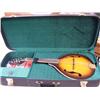 Image 1 : Gibson mandolin epiphone mother of pearl inlay, intellitouch pt2 tuner, beautiful hard travel case i