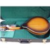 Image 3 : Gibson mandolin epiphone mother of pearl inlay, intellitouch pt2 tuner, beautiful hard travel case i