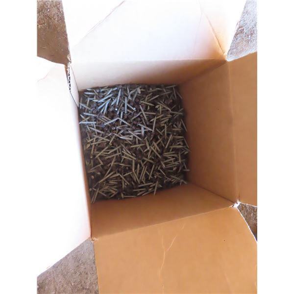 box of screws