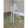 Image 1 : 6 step 5 way ladder