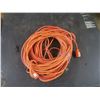 Image 2 : 2 long extension cords