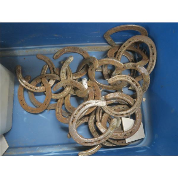 25 horse shoes