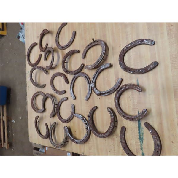 5 gallon pail of horse shoes