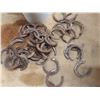Image 2 : 5 gallon pail of horse shoes