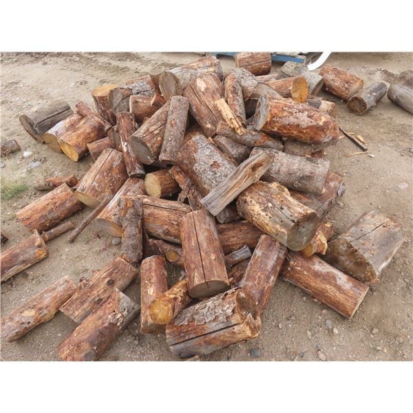 lot of dry seasoned cut fire wood